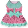 Polka Dot and Lace Dog Dress Set with Leash