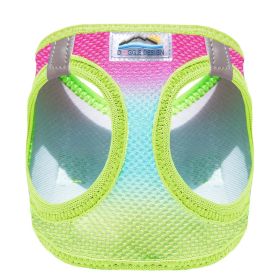 American River Choke Free Dog Harness Ombre Collection (Color: Rainbow, size: X-Small)