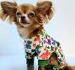 Soft Dog Pajamas