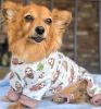 Soft Dog Pajamas